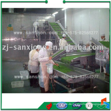 China Strawberry IQF Schnellgefrieren Maschine